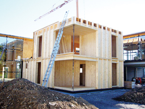 Minihaus Dämmebene Dämmebene 200mm